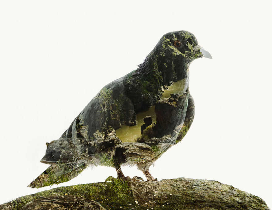 I Made These Multiple-Exposure Photos Without Digital Manipulation I Made These Multiple-Exposure Photos Without Digital Manipulation