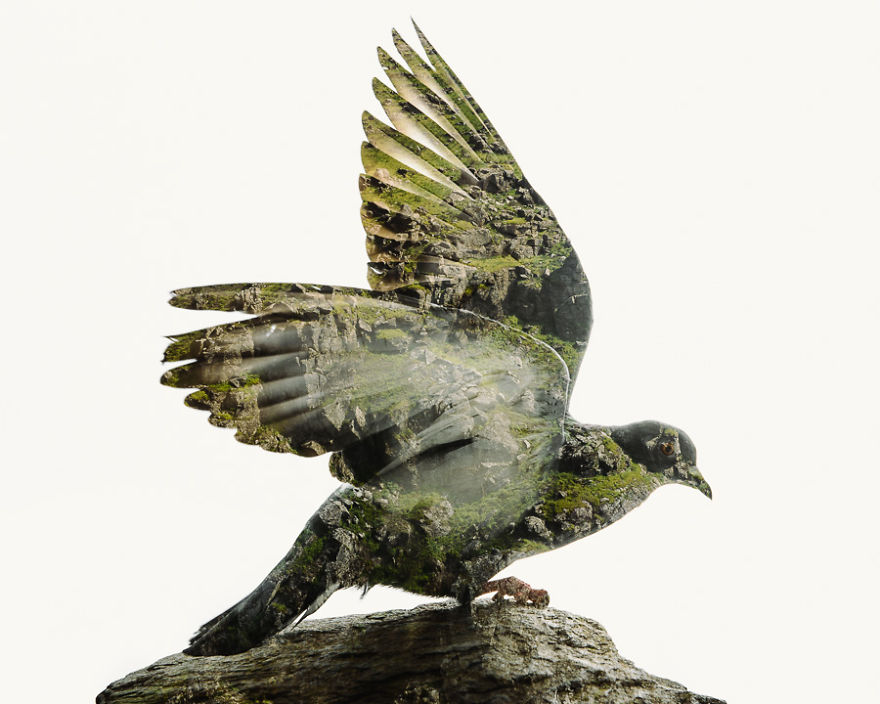 I Made These Multiple-Exposure Photos Without Digital Manipulation I Made These Multiple-Exposure Photos Without Digital Manipulation