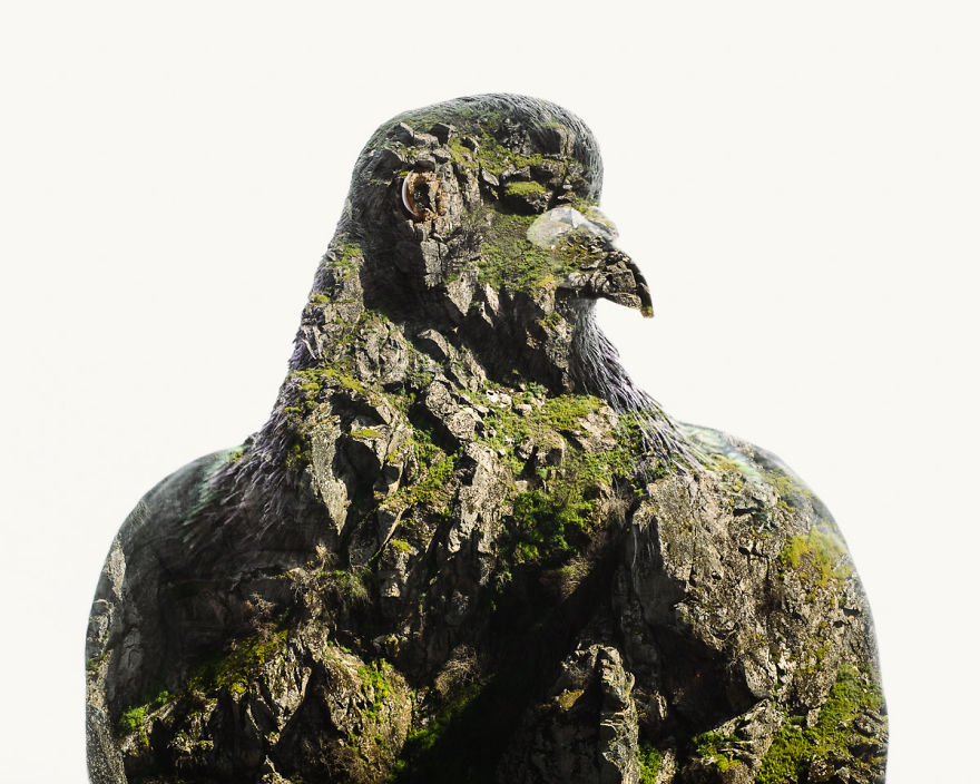 I Made These Multiple-Exposure Photos Without Digital Manipulation I Made These Multiple-Exposure Photos Without Digital Manipulation