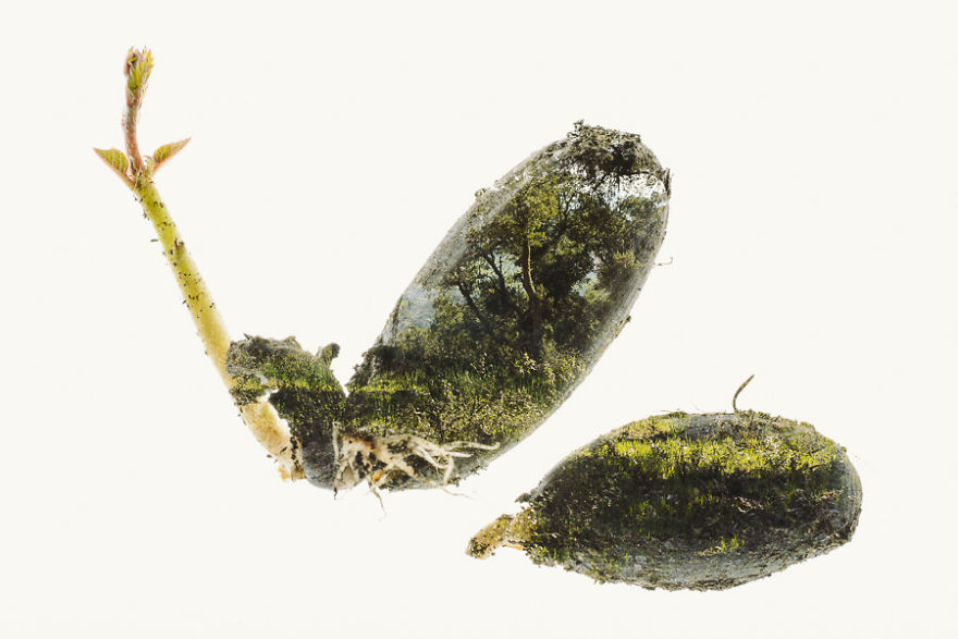 I Made These Multiple-Exposure Photos Without Digital Manipulation I Made These Multiple-Exposure Photos Without Digital Manipulation