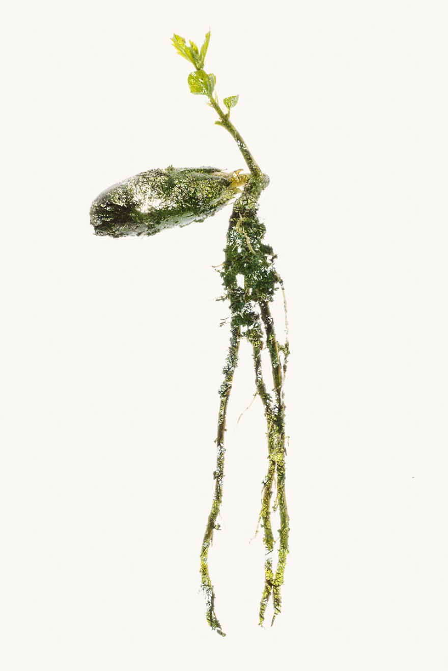 I Made These Multiple-Exposure Photos Without Digital Manipulation I Made These Multiple-Exposure Photos Without Digital Manipulation