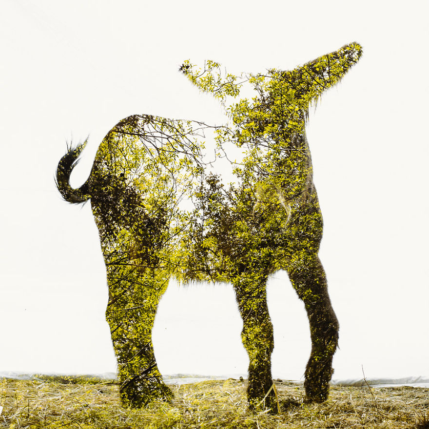 I Made These Multiple-Exposure Photos Without Digital Manipulation I Made These Multiple-Exposure Photos Without Digital Manipulation