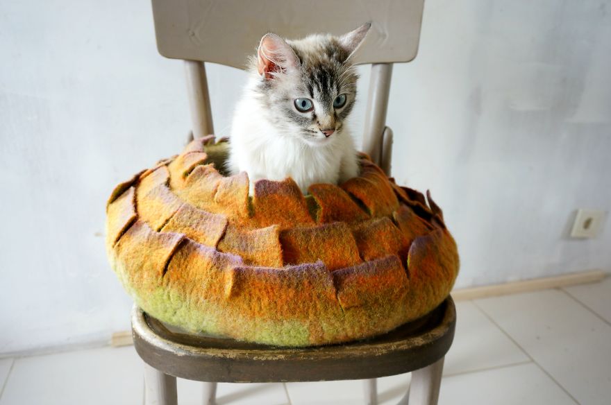 I Make Cat Beds Out Of Felt