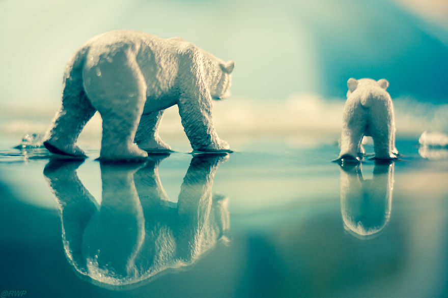 I Make Toy Animals Look Real To Help Prevent Their Extinction I Make Toy Animals Look Real To Help Prevent Their Extinction