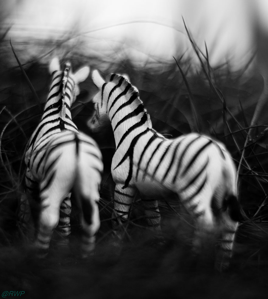 I Make Toy Animals Look Real To Help Prevent Their Extinction I Make Toy Animals Look Real To Help Prevent Their Extinction