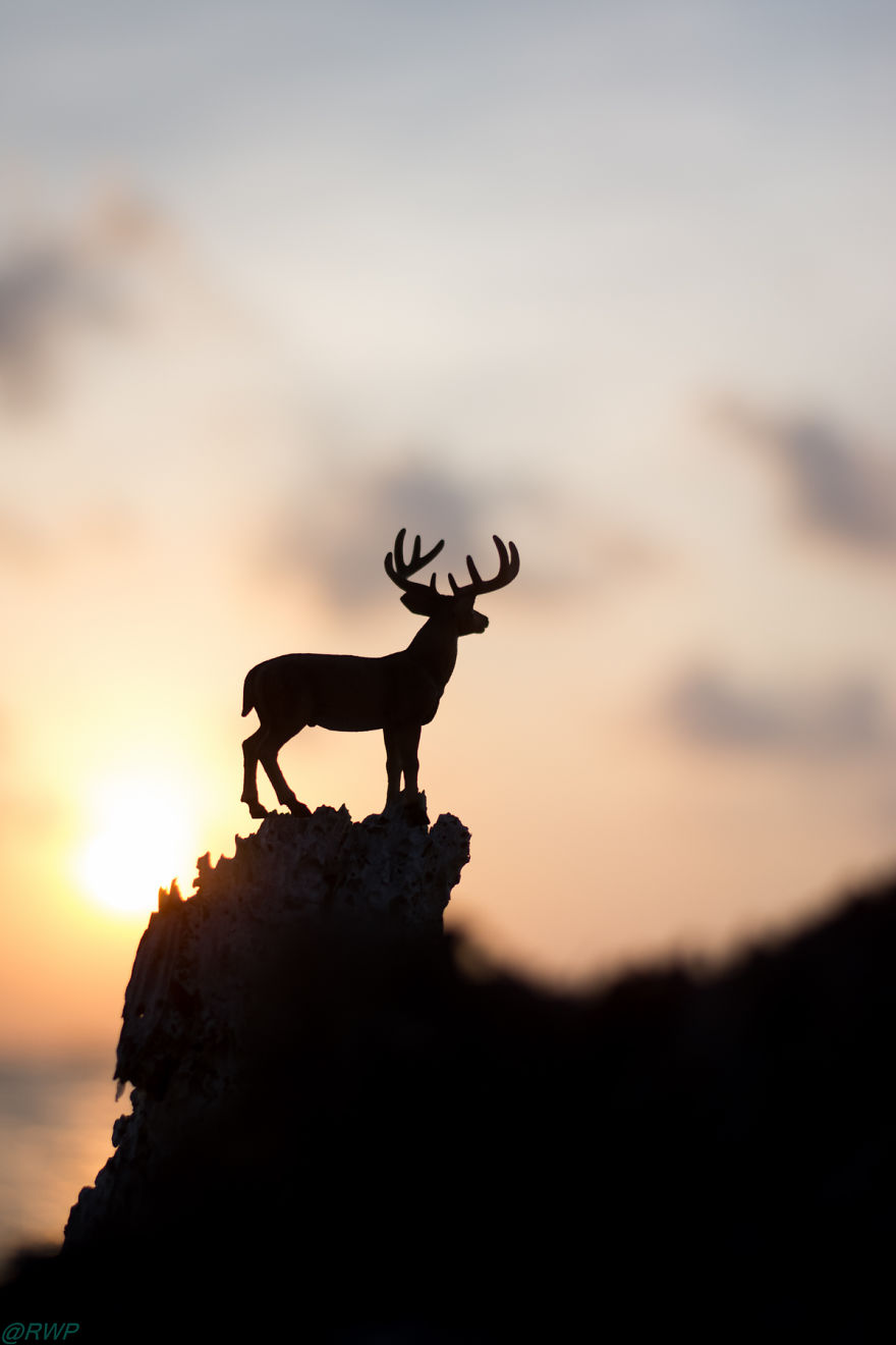 I Make Toy Animals Look Real To Help Prevent Their Extinction I Make Toy Animals Look Real To Help Prevent Their Extinction