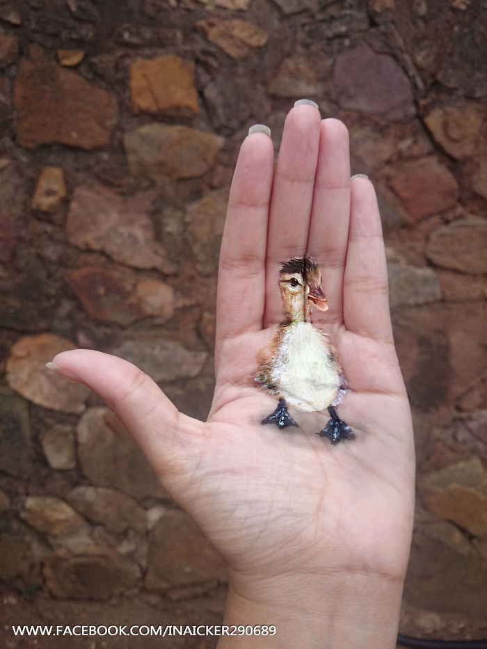 I Create 3D Paintings On My Palms