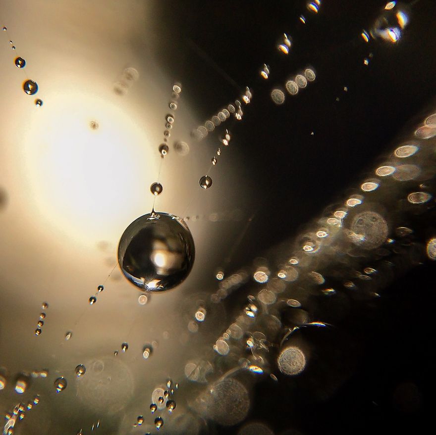I Photograph Dewdrops That Look Like Miniature Multiverses