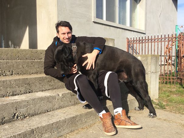 I'm A Lap Dog And Nobody Else Can Tell Me Different