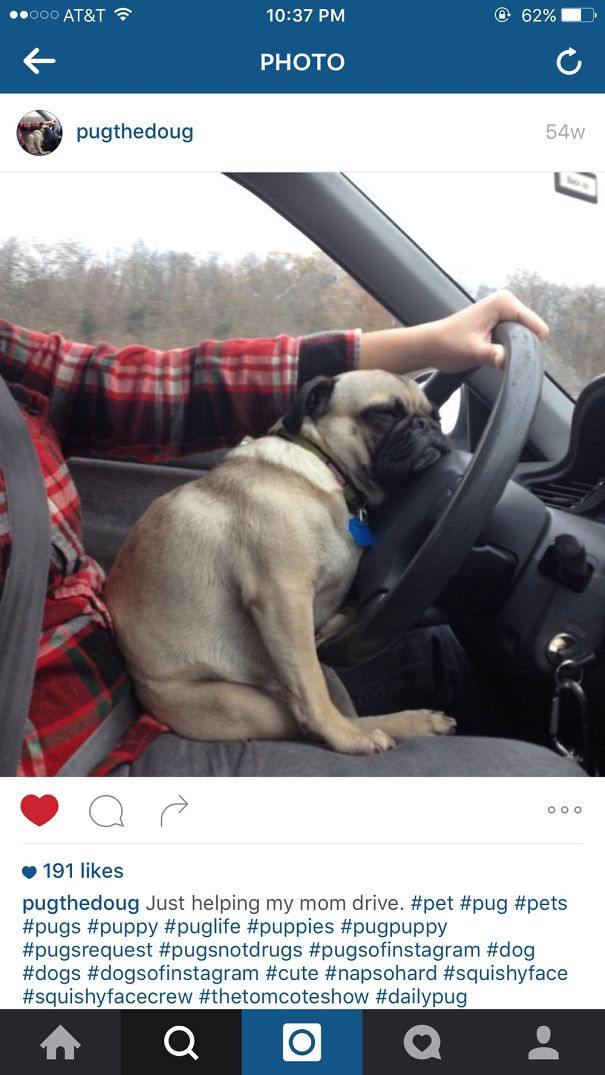 Casually Drivers Seat Driving