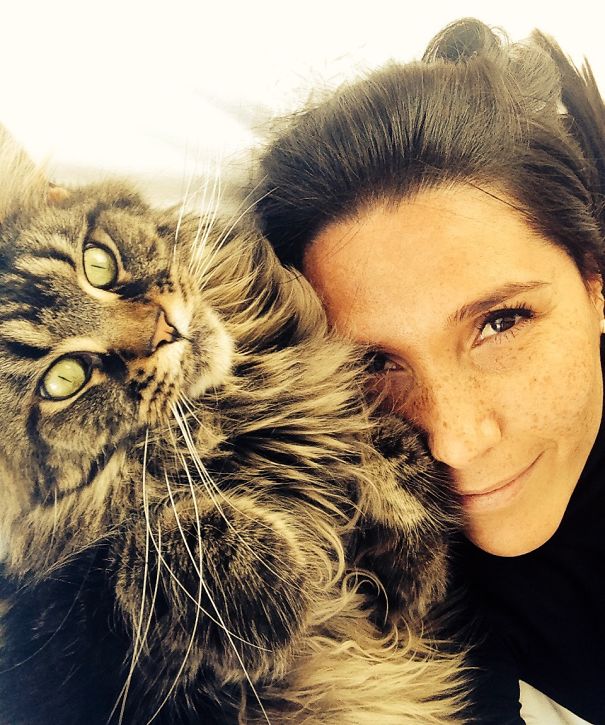 Close-up of a Maine C**n cat with long fur resting next to a smiling woman, showcasing giant kitties with soft character.