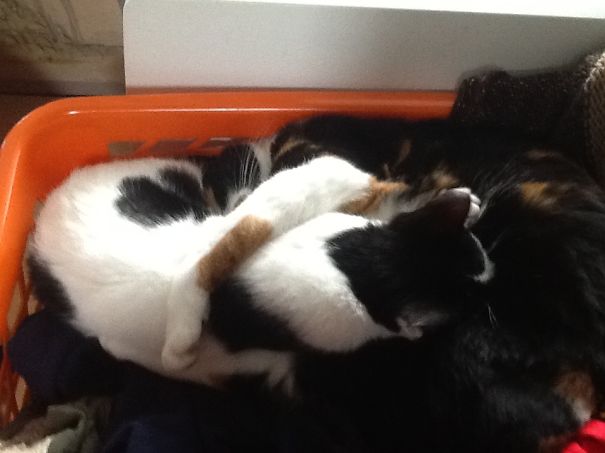 Laundrymom & Daughter