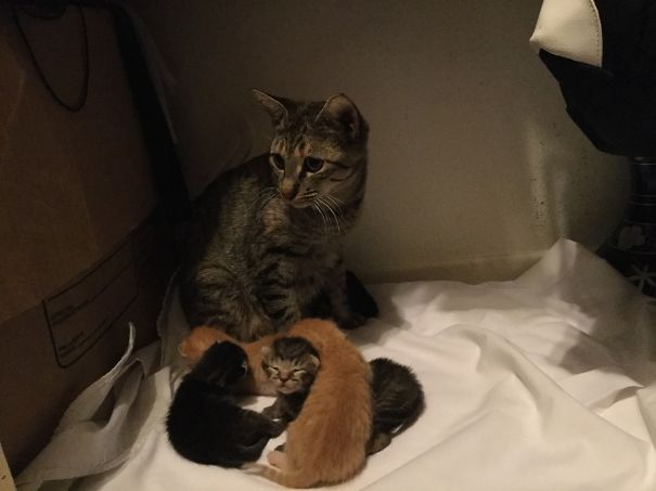 Uhoh Looking Worried