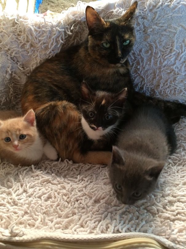 Piep With Her Beloved Ones!