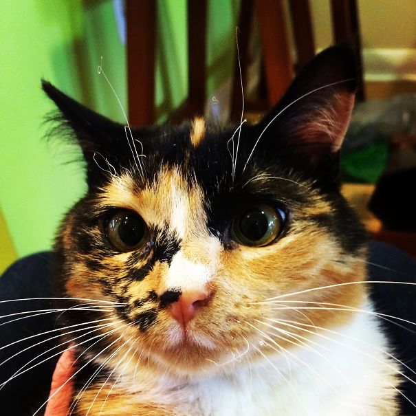 Stevie Nicks Learns About Candles