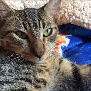 karenbeckyibs avatar