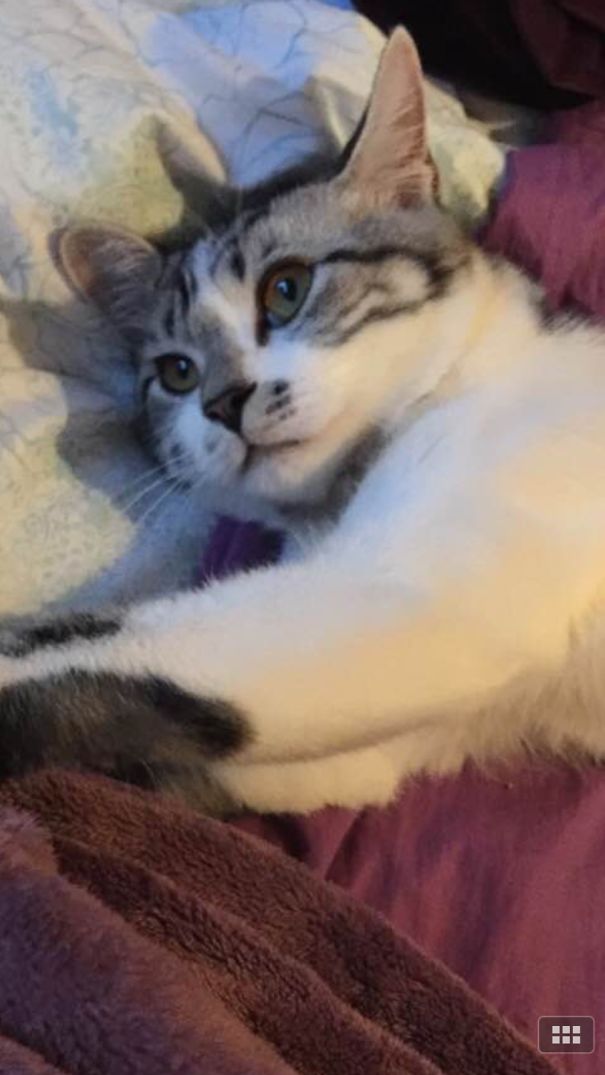 "what Have I Done? What Am I Doing With My Lives?"