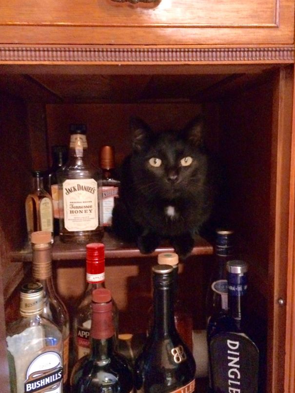 Green Spot, Redbreast, Black Cat.