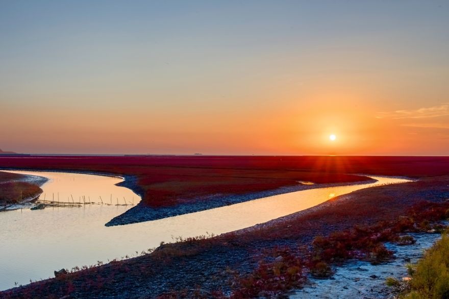 Red Marsh - Panjin