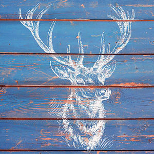 jalexisperf65456 avatar