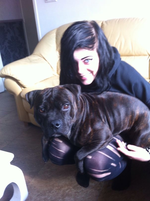 Jax Is Also A Lap Dog... He Couldn't Care Less About My Personal Space