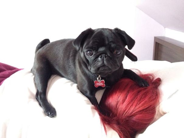 She Dgaf About My Hangover.