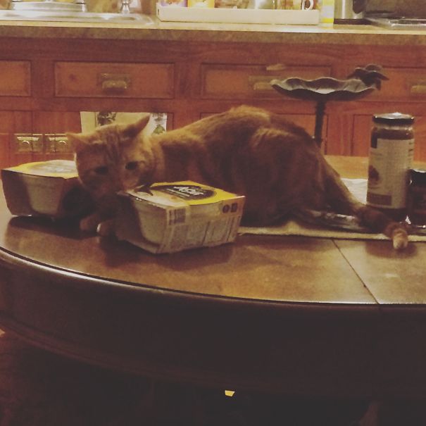 Chinese Food Anyone?