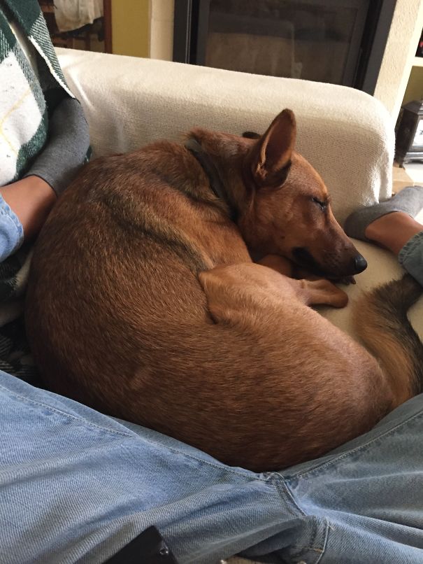 Trying To Stretch My Legs, But....