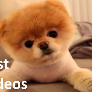 alexabrimeyer2006 avatar