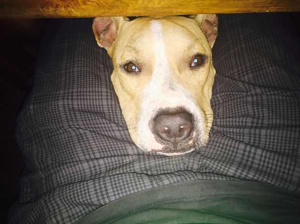 Ummmm You Gonna Finish That Burger?