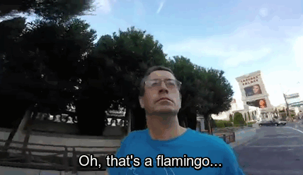 irish-dad-films-las-vegas-trip-wrong-direction-gopro-selfie-22 irish-dad-films-las-vegas-trip-wrong-direction-gopro-selfie-22