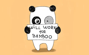 We Are Looking For A Designer To Join Our Team In Vilnius