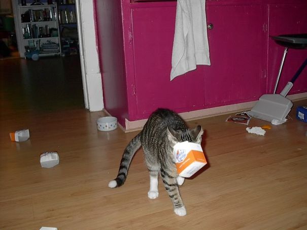 Backing... Up... Slowly...