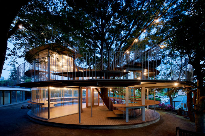 Japanese Kindergarten Built Around A Tree With A Legendary Story
