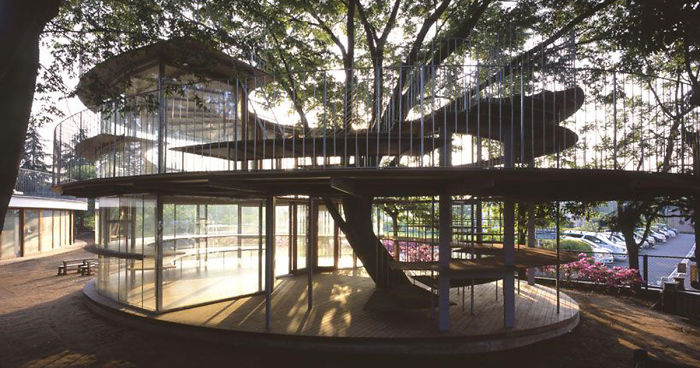 Japanese Kindergarten Built Around A Tree With A Legendary Story