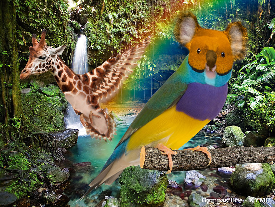 Strange animal hybrids in a lush forest: a koala-bird and a giraffe-bird near a waterfall.