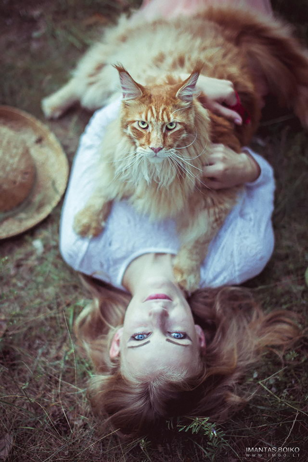 Woman lying on grass with a large Maine C**n cat on her chest, both with relaxed expressions.