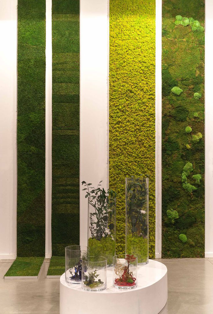 Vertical Moss Gardens