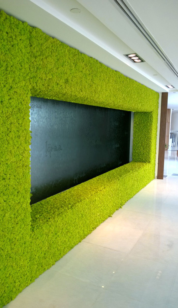 Moss Wall