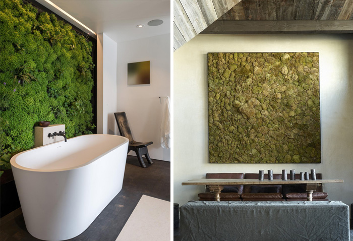 Moss Walls: The Interior Design Trend That Turns Your Home Into A Forest
