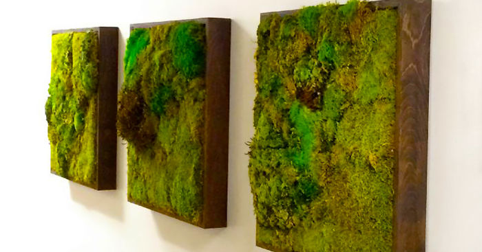 Moss Walls: The Interior Design Trend That Turns Your Home Into A Forest