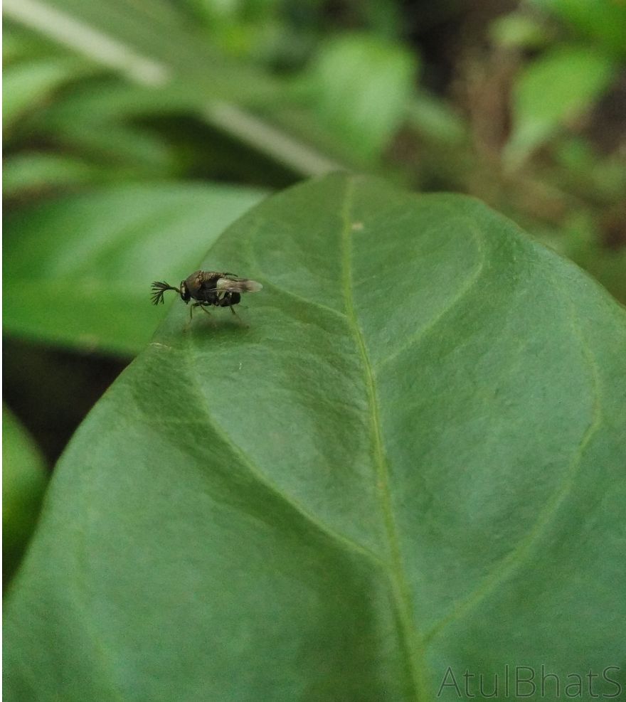 Nature Gets Interesting With My New Phone. Nature Gets Interesting With My New Phone.