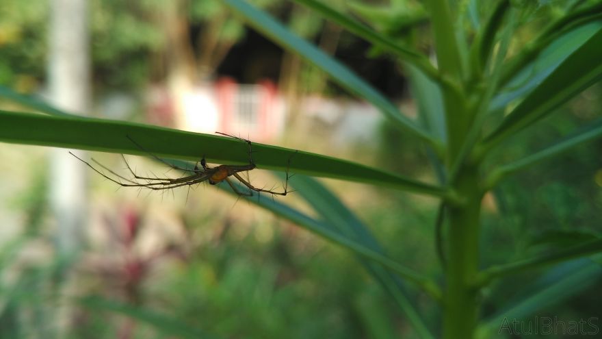 Nature Gets Interesting With My New Phone. Nature Gets Interesting With My New Phone.