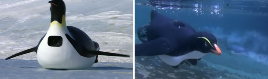 Nature Photographers