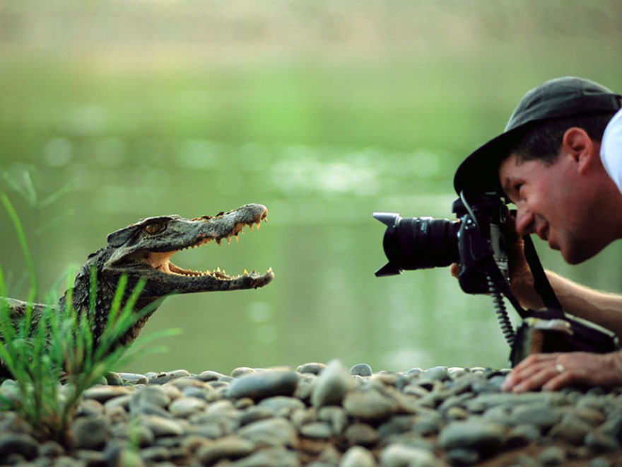 Nature Photographer