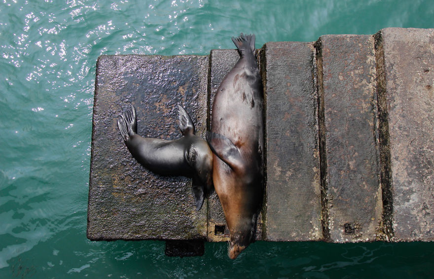 One Trip To The Galapagos And 7,000 Photos Later, This Is What I Have To Show For It