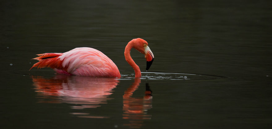 One Trip To The Galapagos And 7,000 Photos Later, This Is What I Have To Show For It