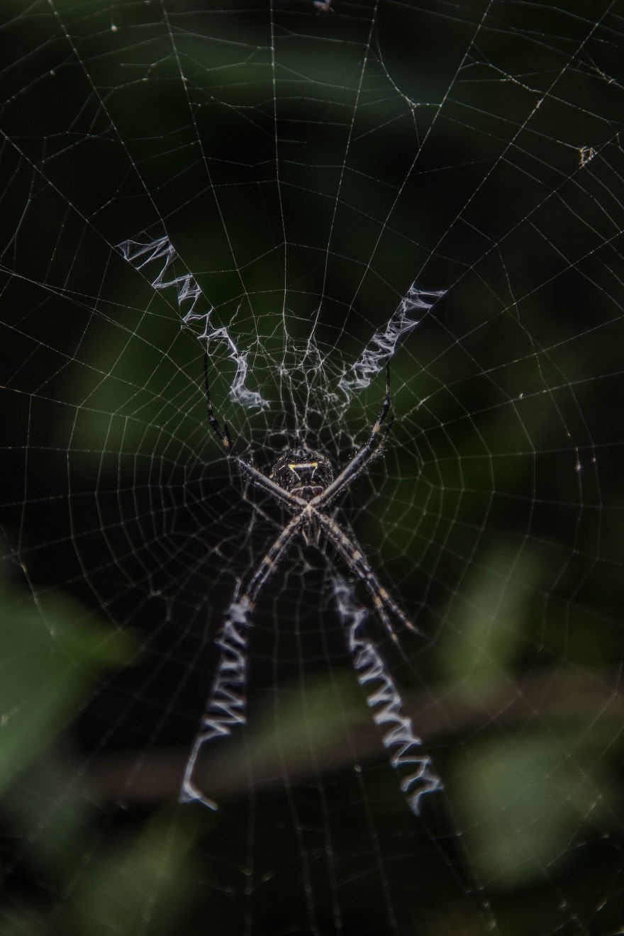 One Trip To The Galapagos And 7,000 Photos Later, This Is What I Have To Show For It