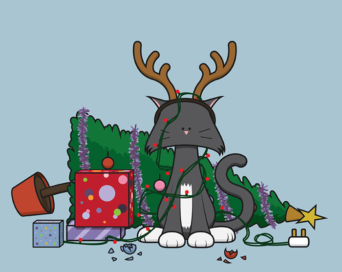 Original Cat Card Designs For Every Cat Lover Out There