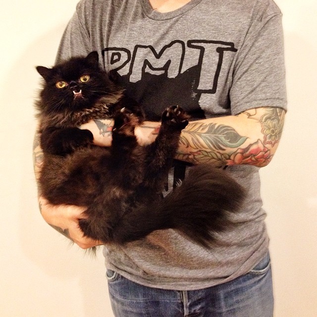 rescue-cat-princess-monster-truck-2 rescue-cat-princess-monster-truck-2